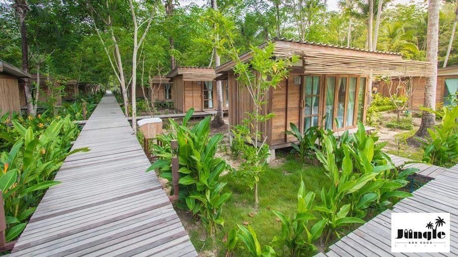 Jungle Room amenities