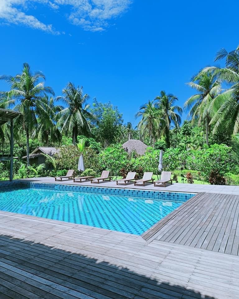 Restaurant — Dining Table